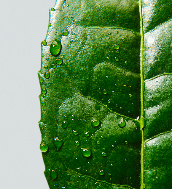 NATURE MEETS
KOREAN SKIN SCIENCE