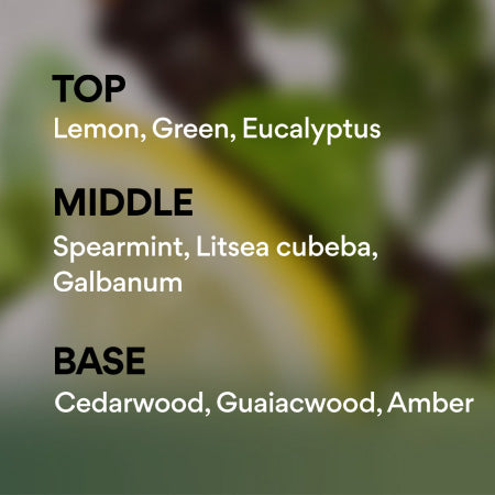 アイルナンバー　ハンドクリーム