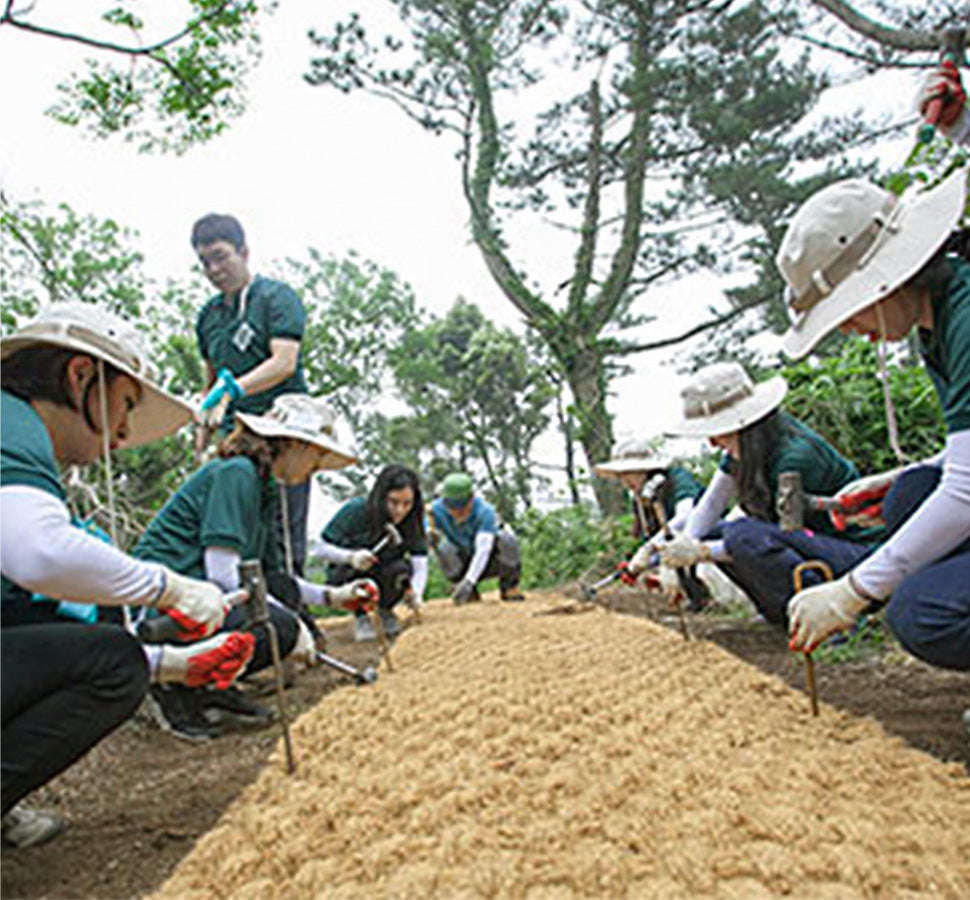 チェジュのオルレキルのスポンサー開始