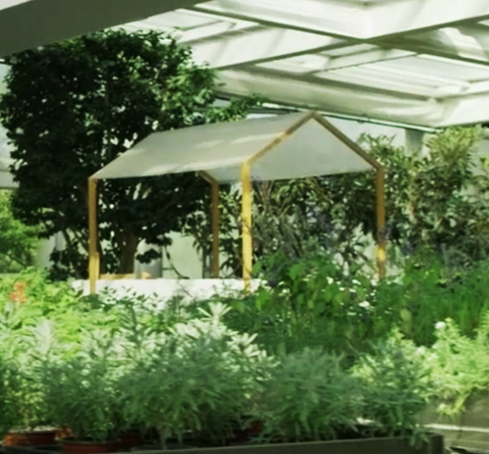 自然、人、企業の美しい共存を追求する「持続可能経営」ビジョンの発表