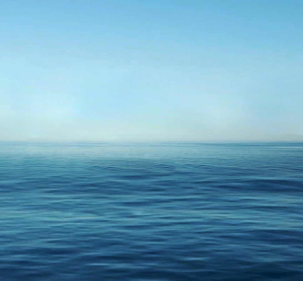 2020ビジョン発表（Great Brand Company）