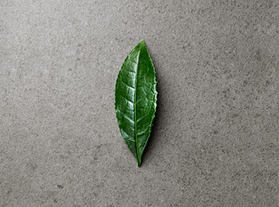 グリーンティーウォーターの製造技術