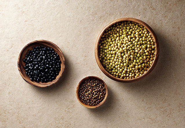 大豆 (ソイビーン)