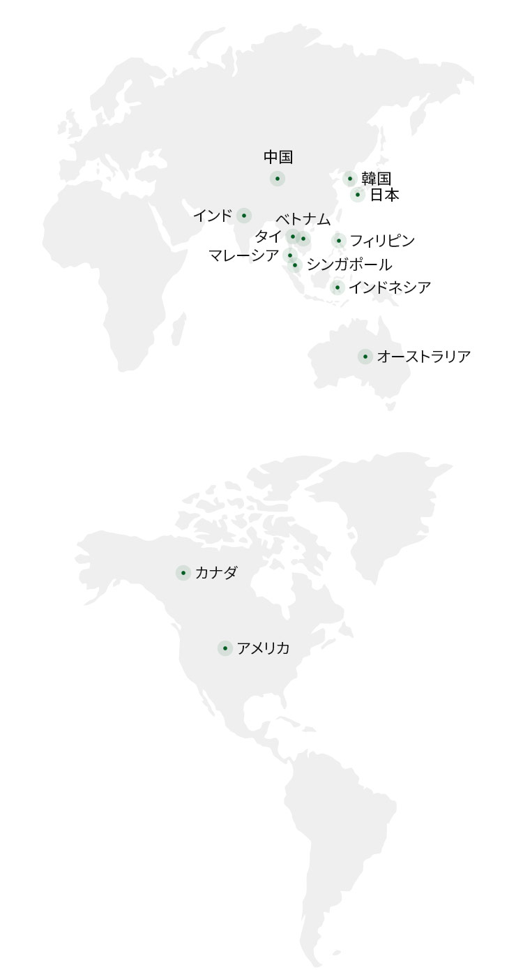 What We Do Career イニスフリー
