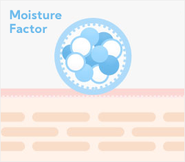 moisture factor
