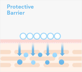 protective barrier